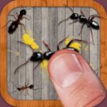 Ant Smasher Game
